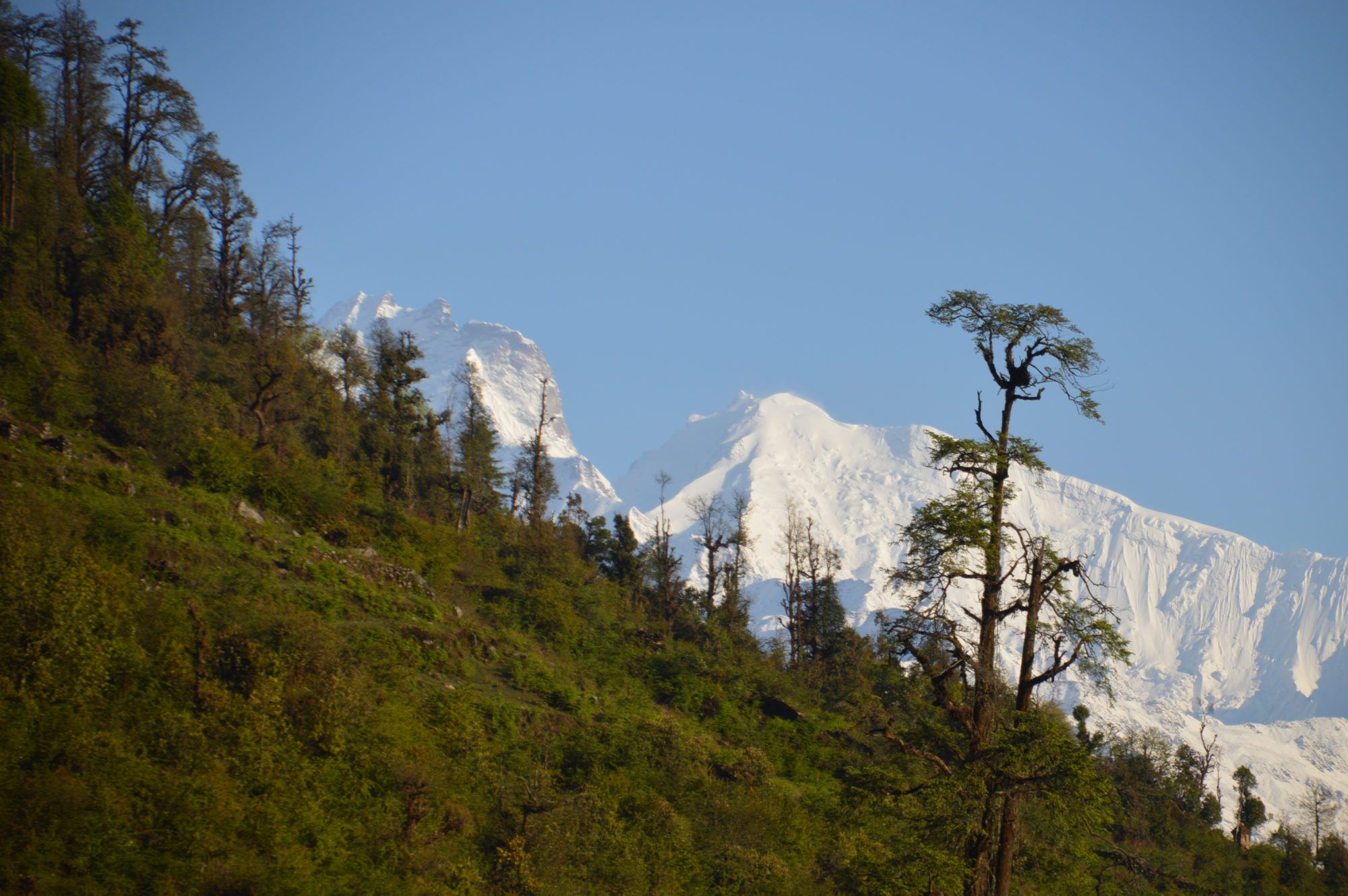 View along the Langtang Trek