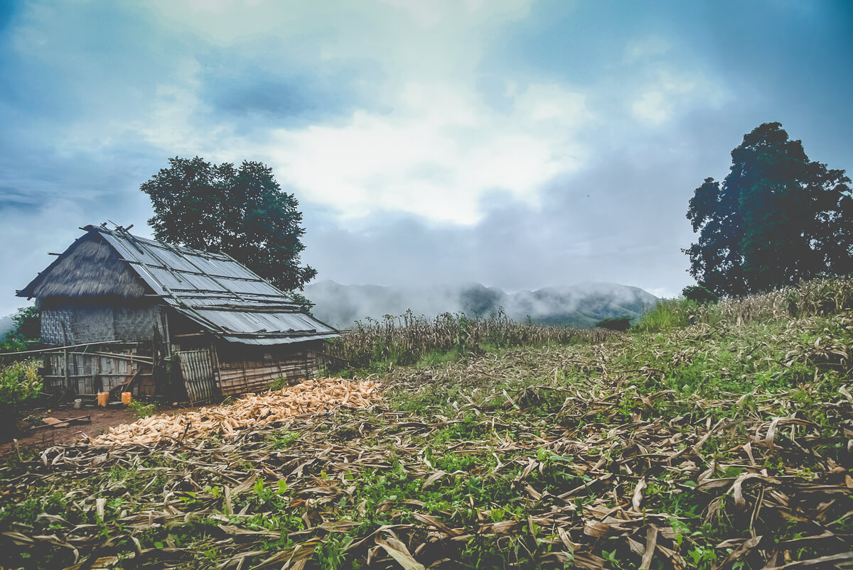 Hsipaw Trek