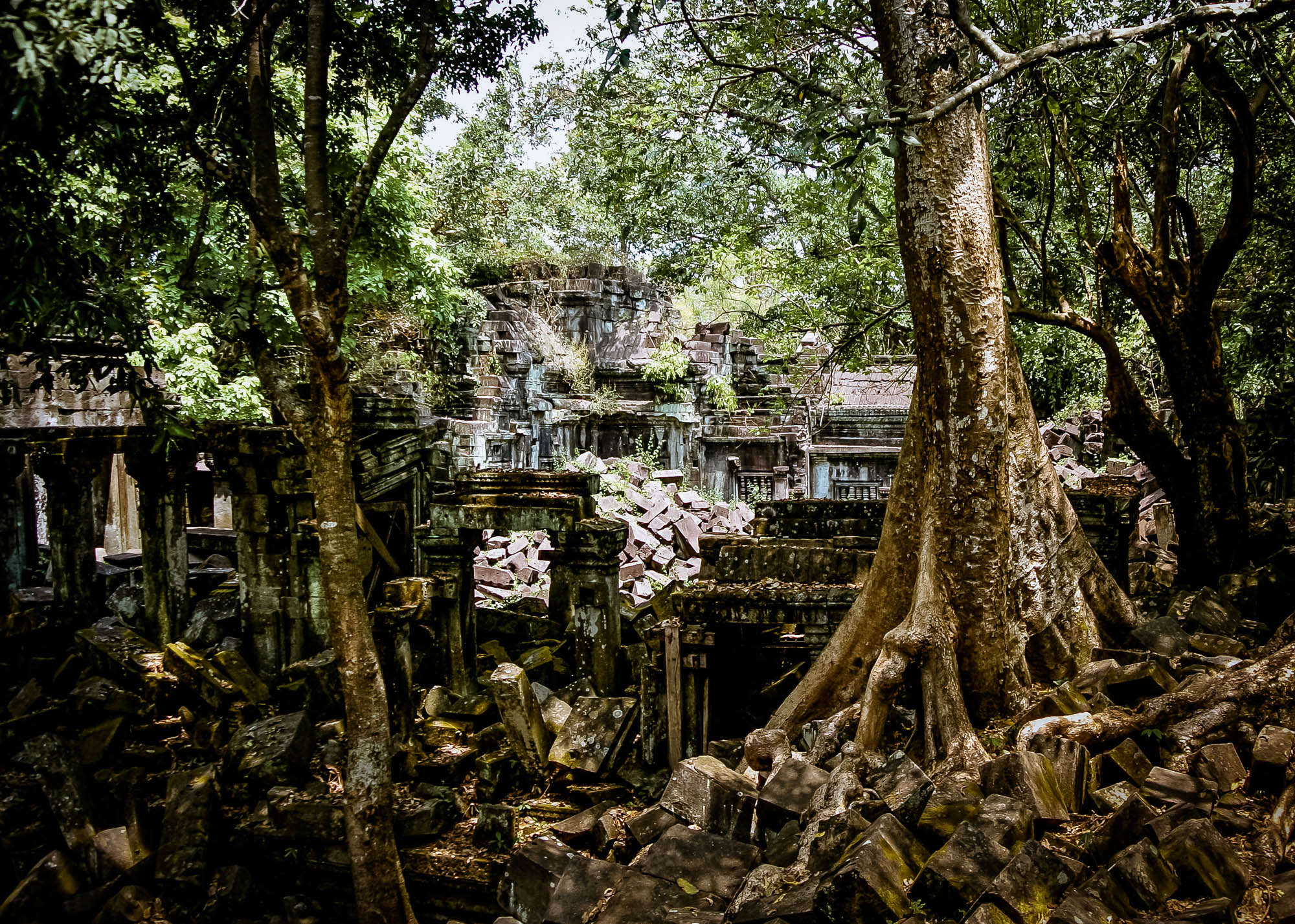 Hidden Temples near Siem Reap Beng Mealea and Banteay Ampil