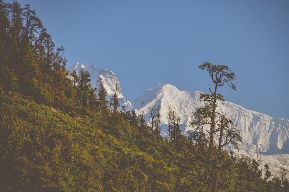 The Langtang Valley Trek