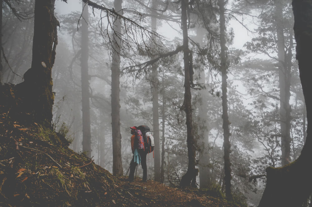 Langtang Trek Photo