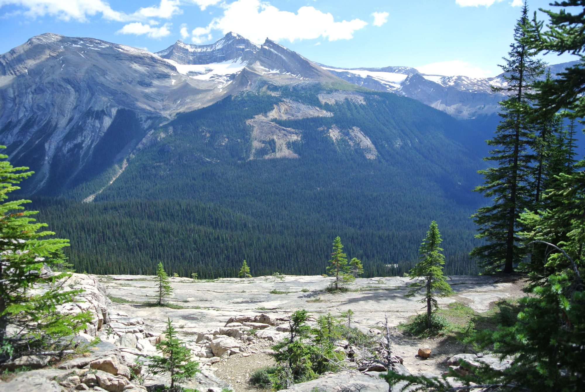 banff hiking trails the iceline trail