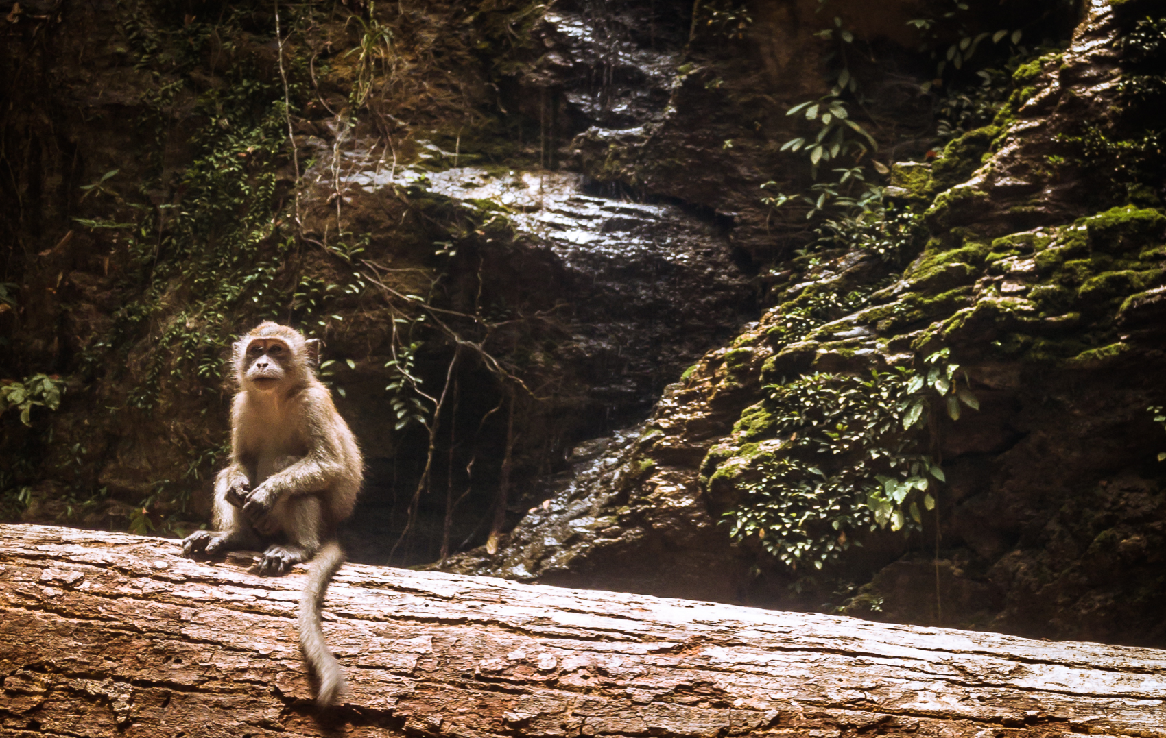 Koh Lanta Waterfall