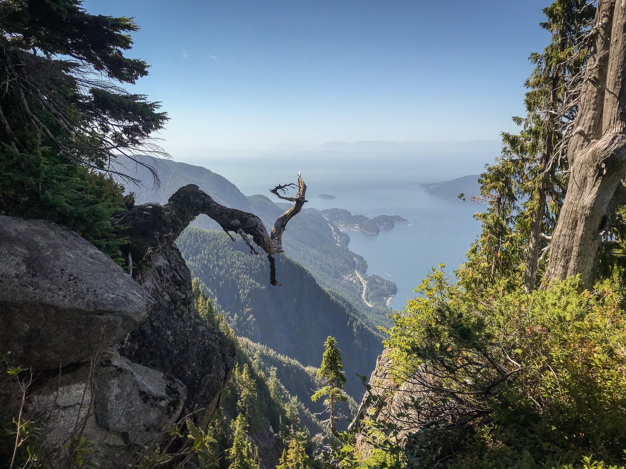 View from St Marks Summit near Cypress Mountain