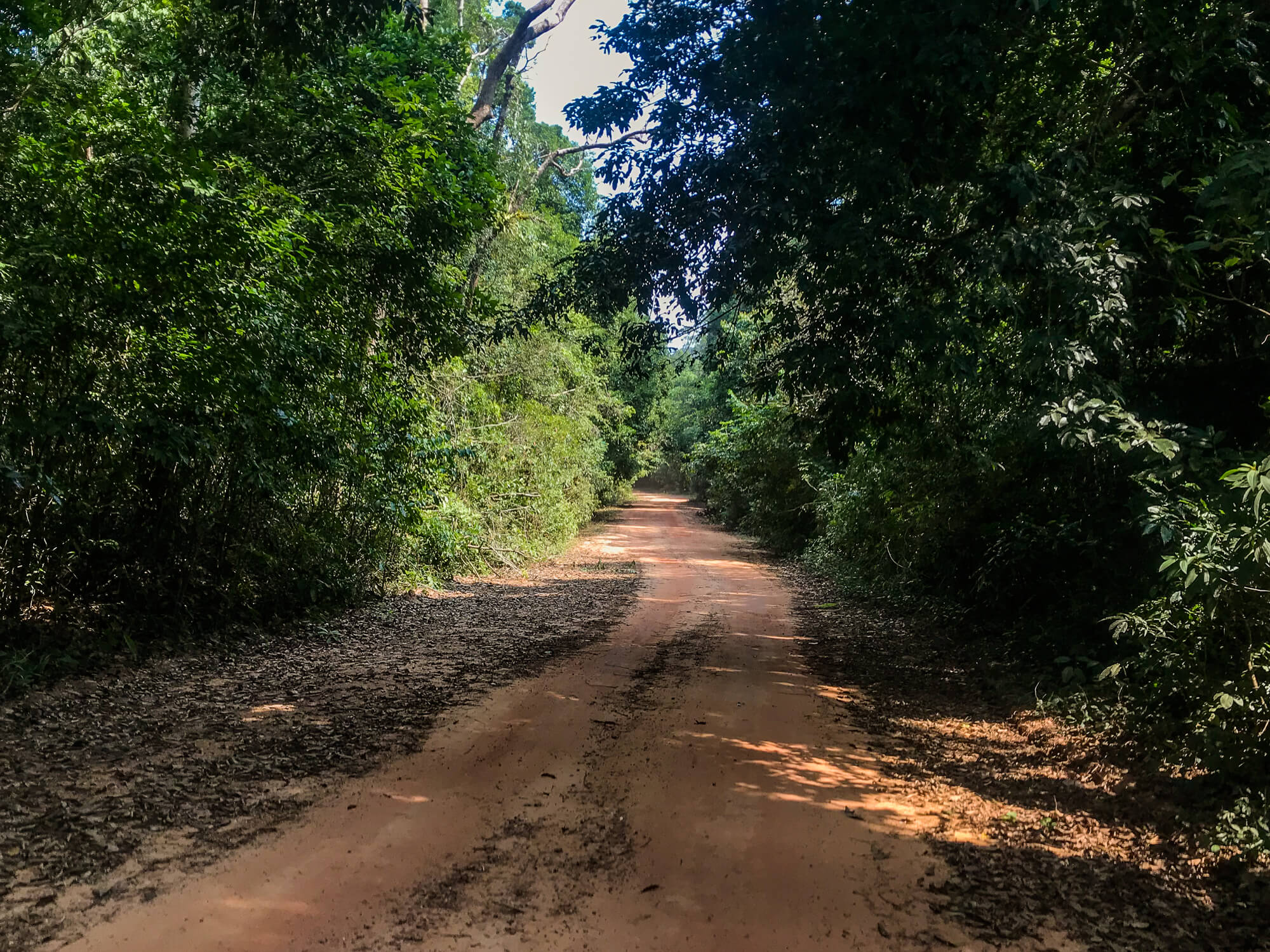 Exploring the red dirt roads on Phu Quoc island is one of the best things to do