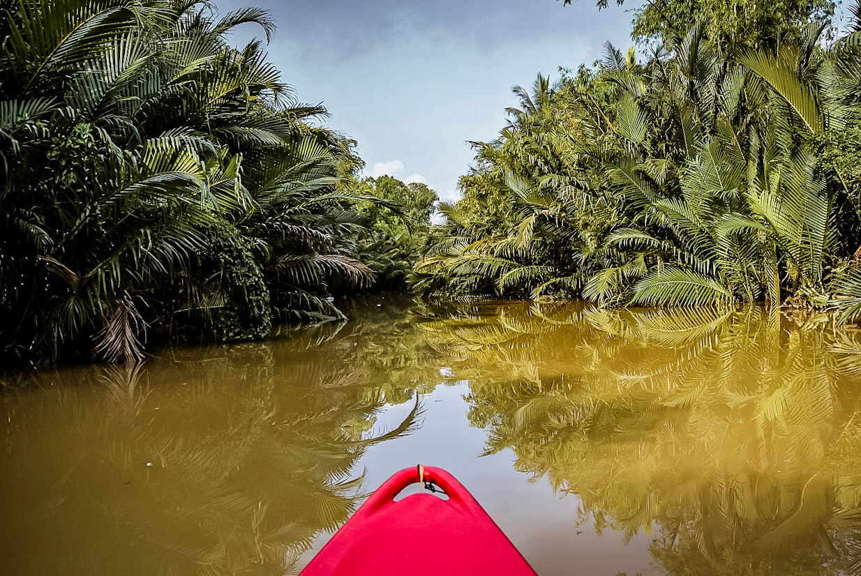 Kayaking the green cathedral in Kampot