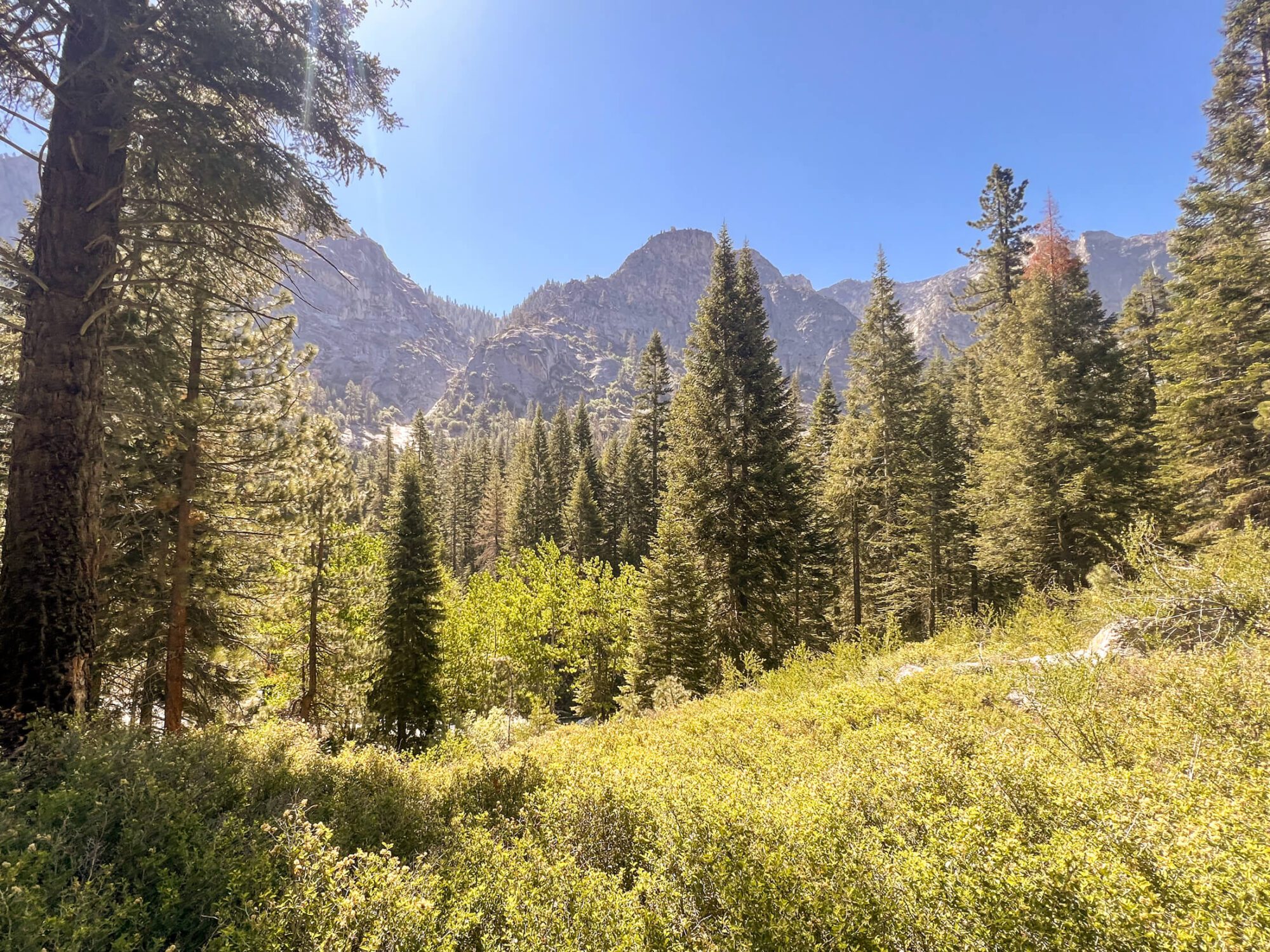 Paradise Valley on the Rae Lakes Loop