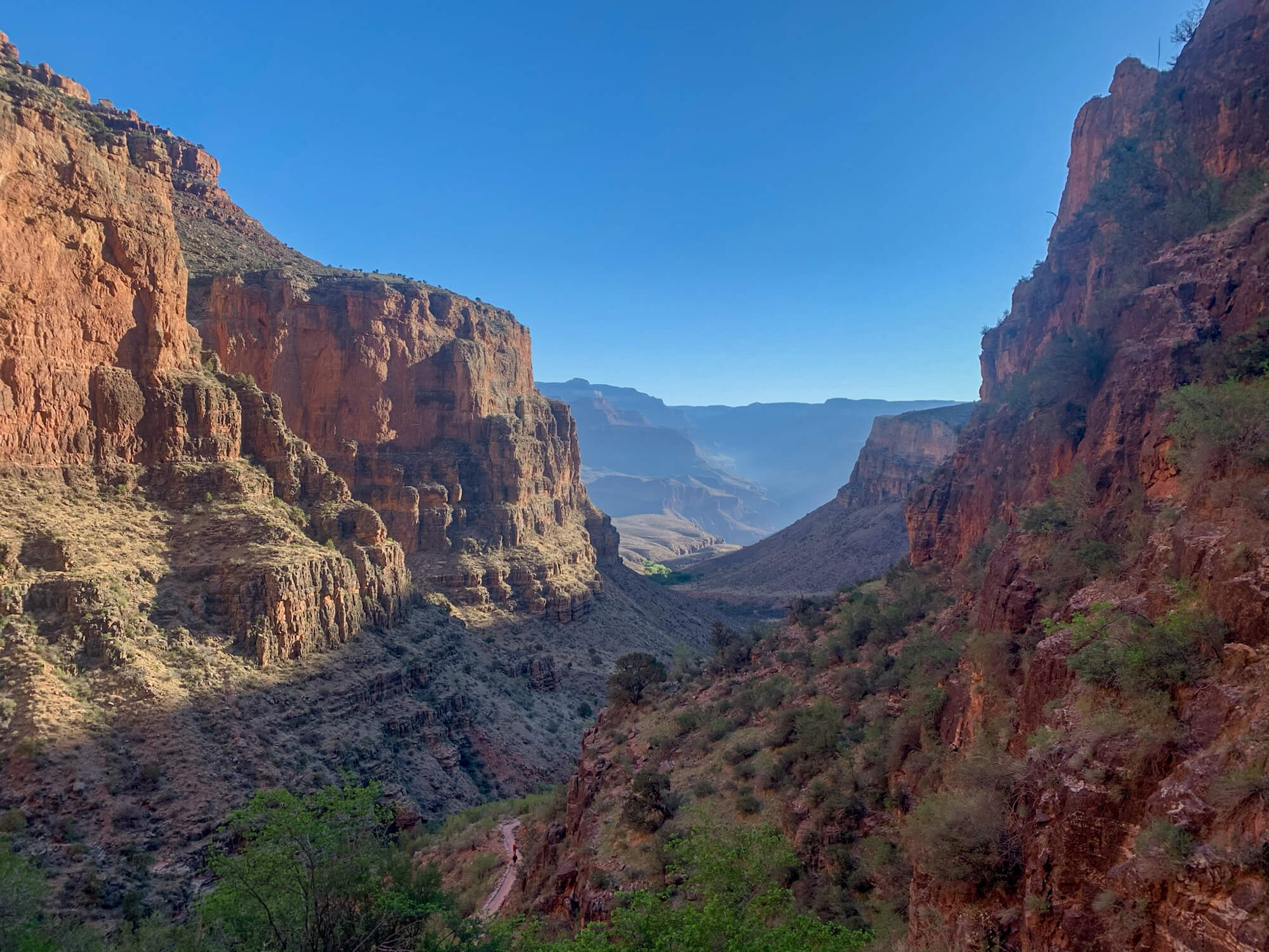 View from the Bright Angel Trail