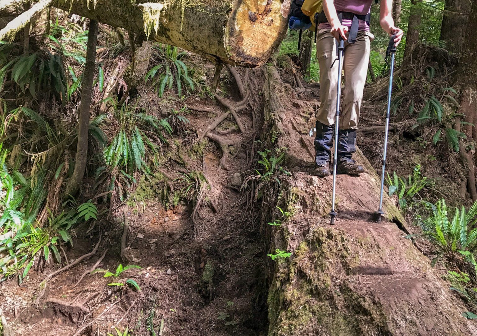 The West Coast Trail Packing List You MUST Read Before Hiking