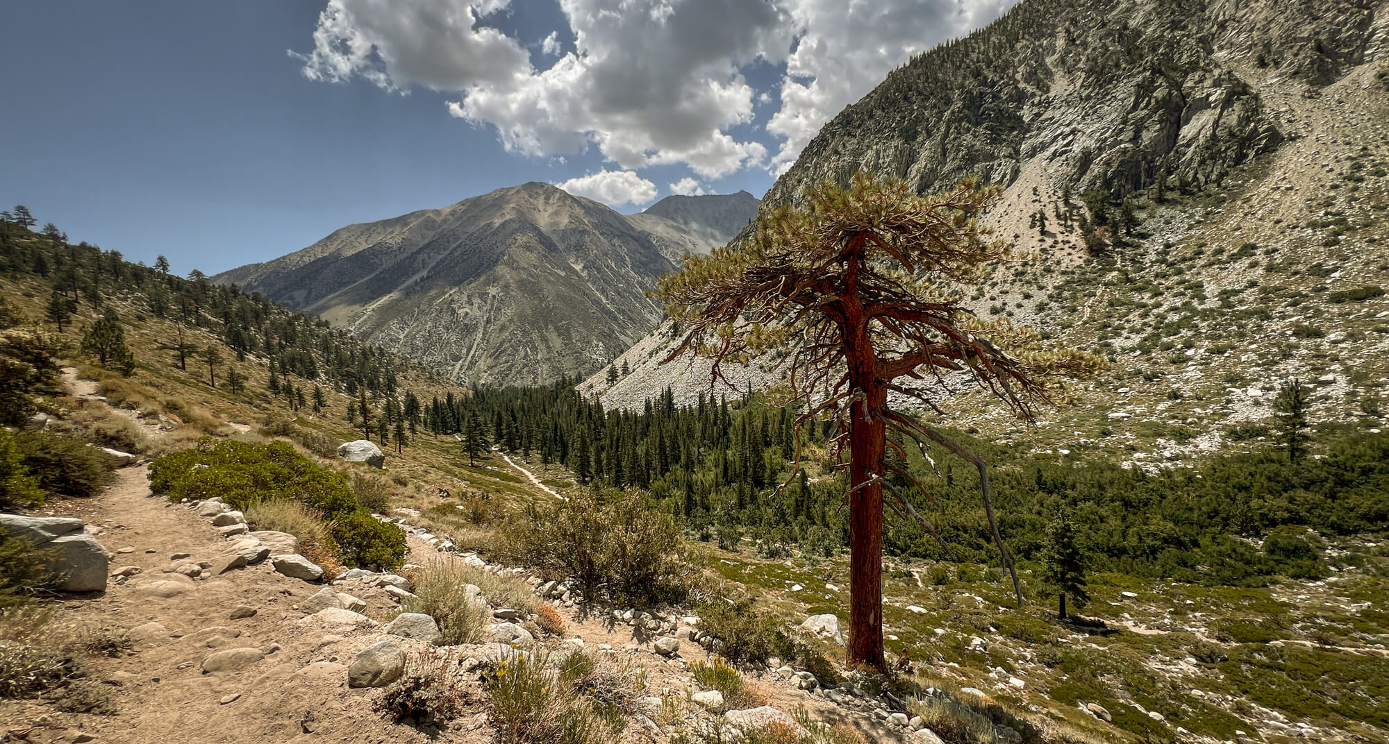 Start of the Big Pine Lakes Trail