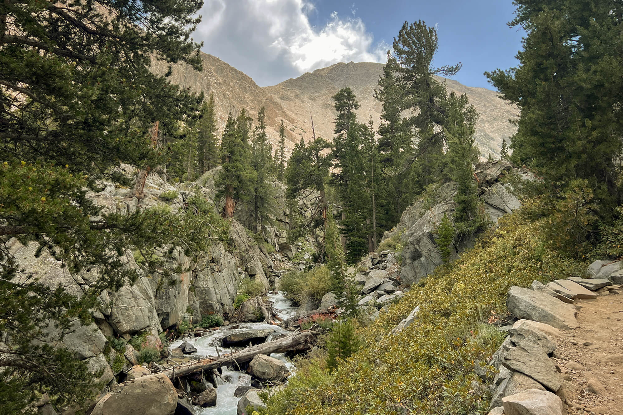 Views along the Big Pine Creek North Fork Trail